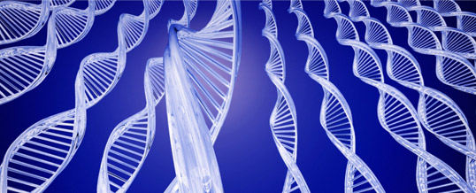 Genetic Testing: Using Your Family Genes as a Guide to Your Medical History